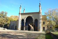 Imagine atasata: Zoo Berlin 0128.JPG